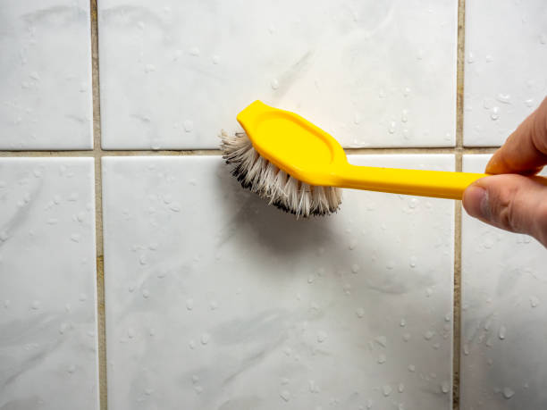 Best Insurance-Related Mold Remediation in Moody, AL