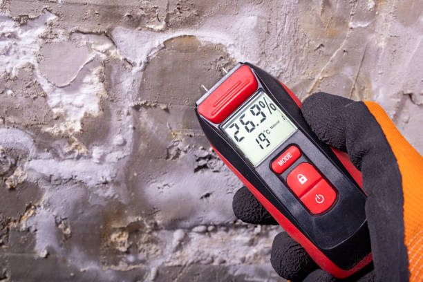 Best Health and Safety Mold Remediation in Moody, AL